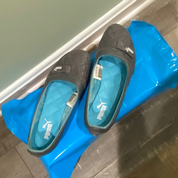 Puma Flats
